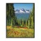 Stupell Industries Alpine Valley Meadow Framed Giclee Wall Art Design by Andrew Kiss